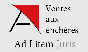 Vente aux enchères publiques - UN STUDIO - GRIGNY (91) - Mercredi 14 Octobre 2020